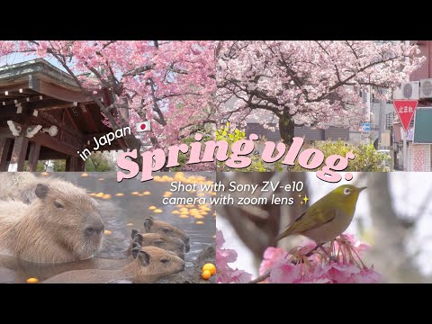 aesthetic japan spring vlog 📷 shot with Sony ZV-e10 Camera with zoom lens