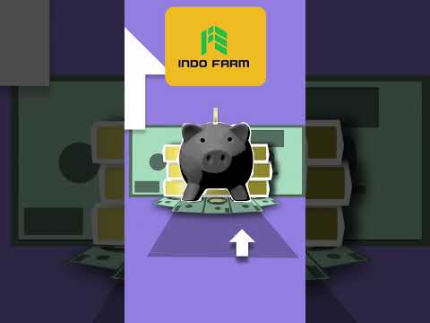 Indo farm IPO Review GMP Subscription allotment