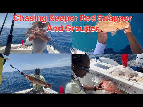 Offshore Fishing Adventure: Red Snapper Pursuit and Red Grouper Bounty in Tampa Bay, FL!#redsnapper