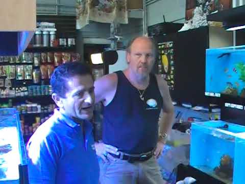 Age Of Aquariums, LA Fishguys, Episode 74, Part 1