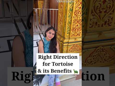 Keeping tortoise in right Direction can bring luck #youtube #vastucharms #youtubeshorts #astrology