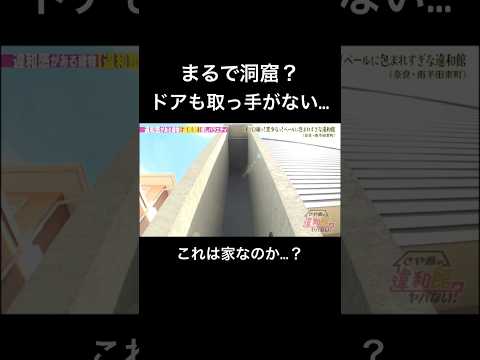 コウモリが間違える家？#さや香 #ツートライブ #shorts