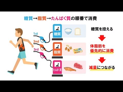 低糖質な食事をすると、糖質の過剰摂取防止＆体脂肪になりにくい｜3Dバランスブレード