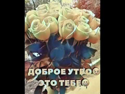 #ПОЖЕЛАНИЕ#С_ДОБРЫ_УТРОМ#открытка#утро#сдобрымутром#хорошегодня#начнисвойденьсулыбки#музыкальнаяоткр