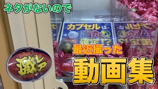 【とりあえず】最近撮ったいろいろ動画集【くじキャッチャー】