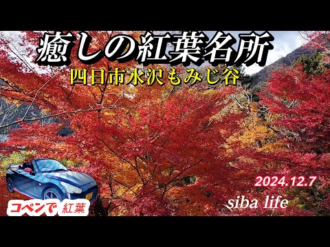 autumn 水沢もみじ谷 癒しの紅葉🍁名所・日本の美しい・colors Healing BGM、2024.12.7 siba life #日本の紅葉 #日本の秋 #紅葉の名所 .