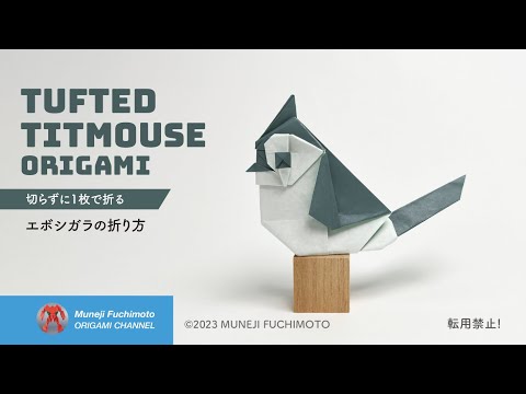 「折り紙」エボシガラ（Tufted titmouse origami）の折り方