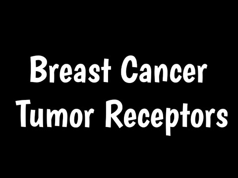 Breast Cancer Tumor Receptors | Testing Breast Cancer Hormone  Receptor Status |