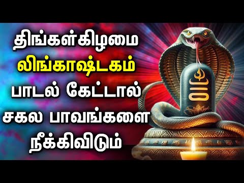 MONDAY LINGASHTAKAM BAKTHI PADAGAL | Lingashtakam Songs | Best Shiva Tamil Devotional Songs