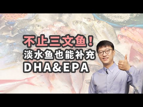 淡水魚也能補充DHA和EPA？ ｜營養學堂