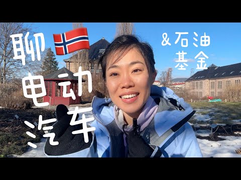 为什么寒冷的北欧电动汽车最普及｜聊石油基金和挪威人的民族性格