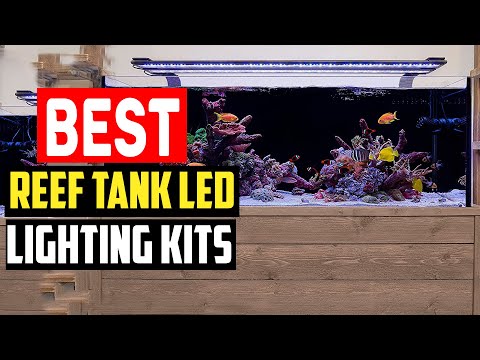 ✅The 5 Best Reef Tank LED Lighting Kits of 2023