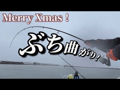 MerryXmasラストサーモン！漁港でコマイ＆猫さんと出逢い！