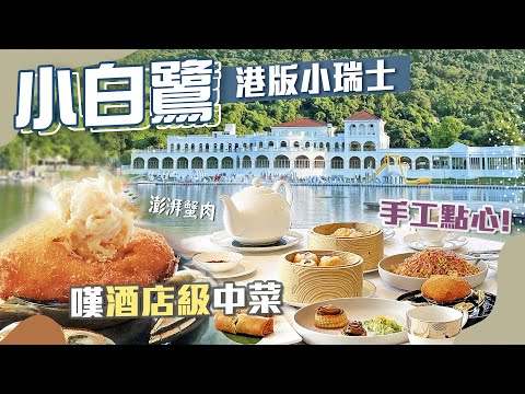 【港版小瑞士】大埔小白鷺中菜廳－金鷺湖🥢飲茶嘆酒店級手工點心新派中菜🥟竟食到最好吃的燒賣🤩？！泊車介紹｜中秋月餅｜香港餐廳推介｜香港好去處｜大埔美食ft. @GrassrootsCat