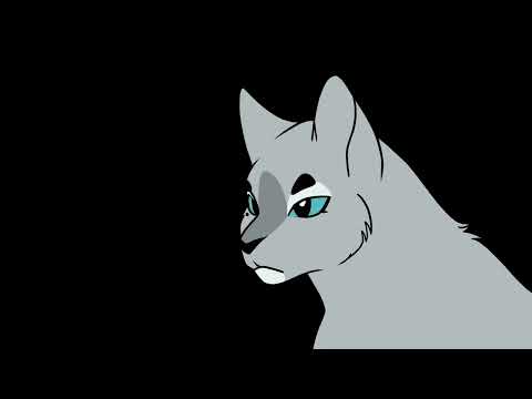 Short Cat Animation