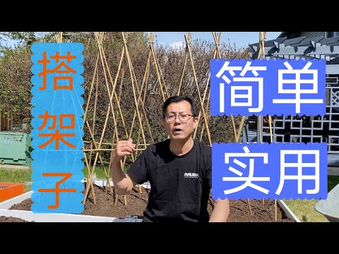 搭架子：黄瓜架子，豆角架子，简单，实用的农民搭架子方法。童年的记忆顺手拈来！