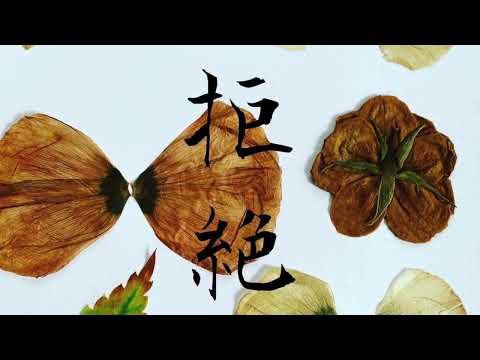 拒絶 -しょうじさとみ