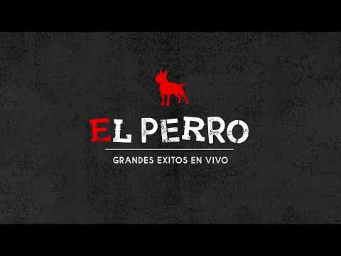 El Perro - Serás Mia (Cover Video)