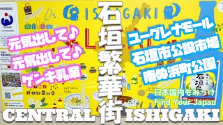 石垣島繁華街【ユーグレナモール、石垣市公設市場、南ぬ浜町緑化公園、元気出して元気出して♪ゲンキ乳業】CENTRAL ISHIGAKI 日本国内もみっけ 14