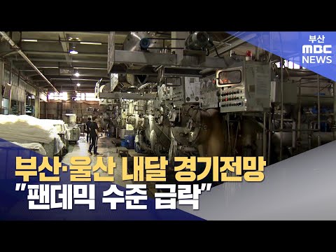 부산·울산 내달 경기전망 "팬데믹 수준 급락" (2024-12-24,화/뉴스투데이/부산MBC)