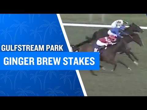 2025 $165,000 Ginger Brew Stakes at Gulfstream Park