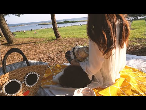 Picnic with kitty 和猫咪一起海边野餐