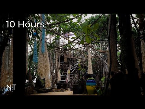 Tropical Rain & Distant Thunder | Stormy Weather , Thunder & Rain in Thailand | Sounds for Sleep