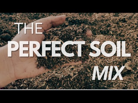 How-To: Perfect Soil Mix (In Just 5 Steps!)