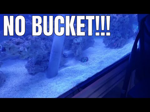 EASIEST WAY WATER CHANGE NO BUCKET