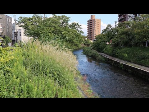 いたち川散策初秋編