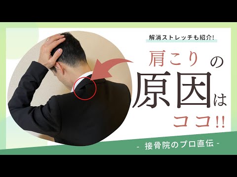 【肩の痛み〜肩こり〜】朝、起きたとき肩が重い、夕方になると頭痛がするときのストレッチ！｜接骨院のプロが教えるお家セルフケア｜テラピスト接骨院.