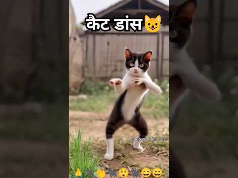 Billi dance video Cat 😺😺बिल्ली डांस  #Billi #Cat  #Catshortvideo   Santosh Billi Cat YouTube #short