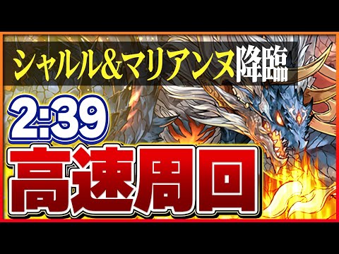 【シャルル&マリアンヌ降臨】シヴァドラループの周回編成！ずらしのみで簡単クリア！【パズドラ】