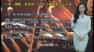 人体，细胞，染色体，DNA，基因是什么关系