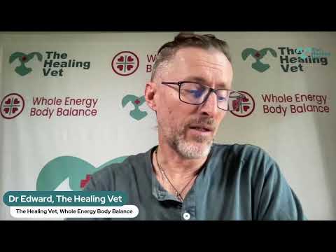 Help Your Pets with the Healing Vet: Clarity and Action