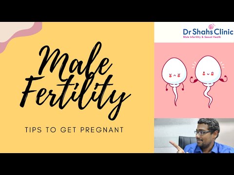 Male Fertility Tips to get Pregnant - FAST