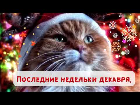 Лучшие пожелания с наступающим Новым Годом! 🎄Пусть сбываются планы и мечты!