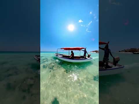 Crystal clear water & paradise island 🌴🌊 #zanzibar #paradise #beach