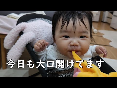 ぬいぐるみの尻尾が好き過ぎる0歳児【221Days】