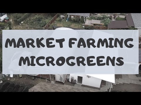 Permaculture Market Farming Microgreens with a Passive Solar Greenhouse