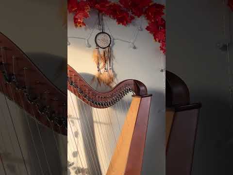 Субботнее утро 🍁🤎🎶  #celticharp #leverharp #арфа #harp #леверснаяарфа #harpaesthetic #harpist