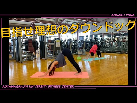 【ヨガ】ダウンドックのためのレッスン