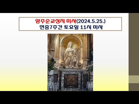 양주순교성지 미사(연중7주간 토요일 11시 미사 2024.5.25.)