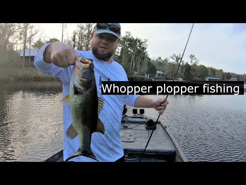 Whopper plopper top water  bass fishing! Gator tail 1848 extreme and GTR40XD