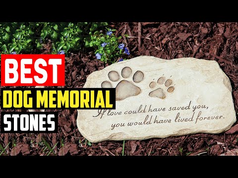 ✅ Top 5 Best Dog Memorial Stones in 2023