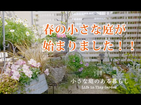 ガーデニング Vlog｜春の小さな庭が始まりました！！｜ 〜小さな庭のある暮らし 159〜Gardening ｜ Life in a tiny garden