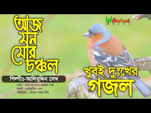 দুঃখের গজলটি শুনলে চোখে পানি চলে আসবে || আজ মন মোর চঞ্চল || Aj Mon Mor Chonchol || Alibuddin Sk