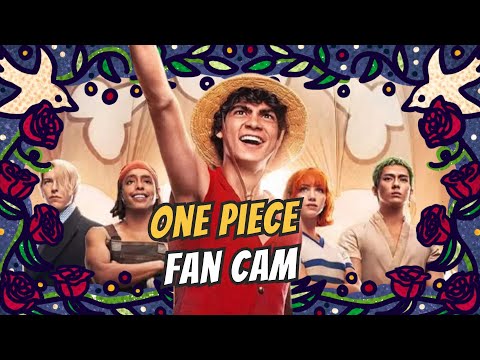 One Piece Fan Cam | Explore the Secrets of Luffy, the Grand Line, Pirates, and Devil Fruit