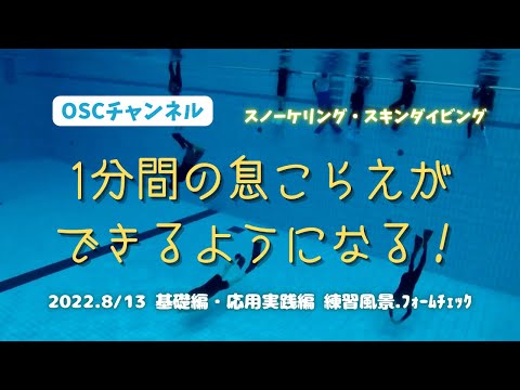 1分間の息こらえができるようになる！OSCスキンダイビング講習会・基礎編・応用実践編！横浜国際プールのダイビングプール（水深5メートル）