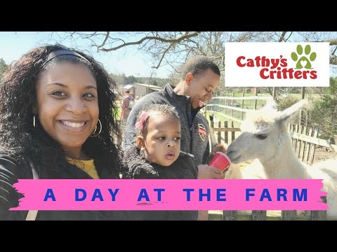 A Day at the Farm | Visit a Dallas Farm | Dallas Petting Zoo | Cathy's Critters Farm Animals